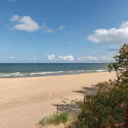 In With Wifi Mścice