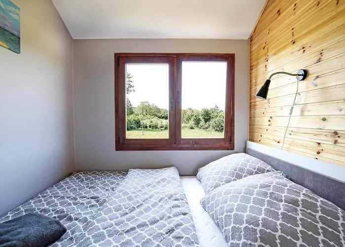 In With Wifi * Mścice