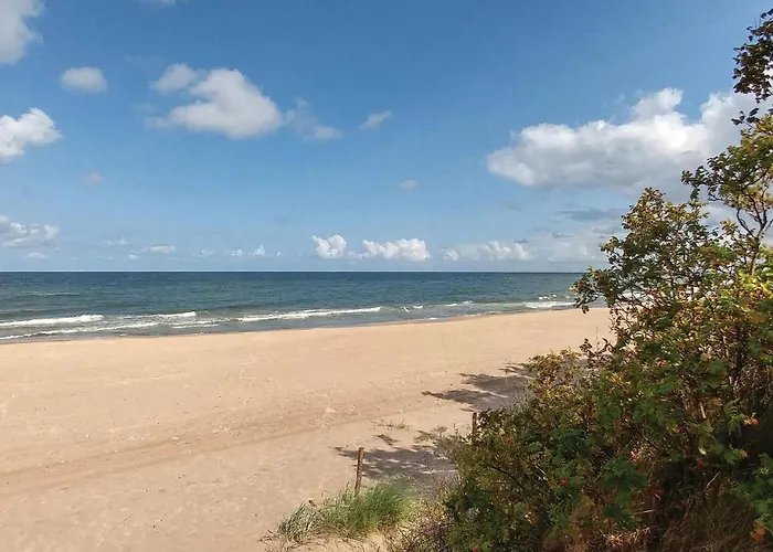 In With Wifi Mścice