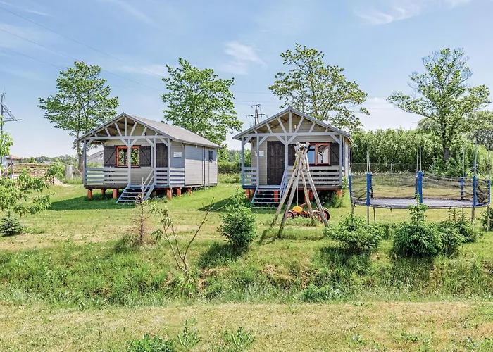 In With Wifi * Mścice